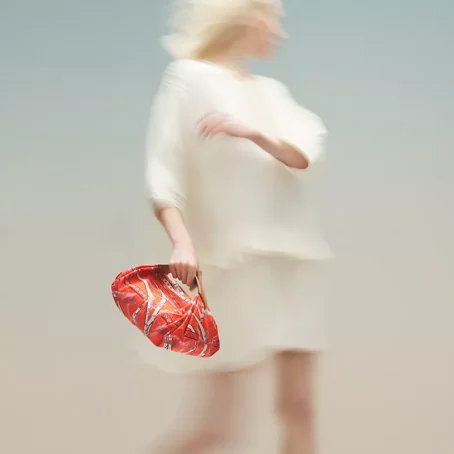 Balusoie bag - Image 2